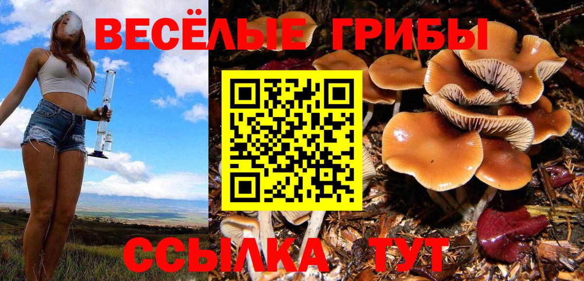 Галлюциногенные грибы прущие грибы Киреевск