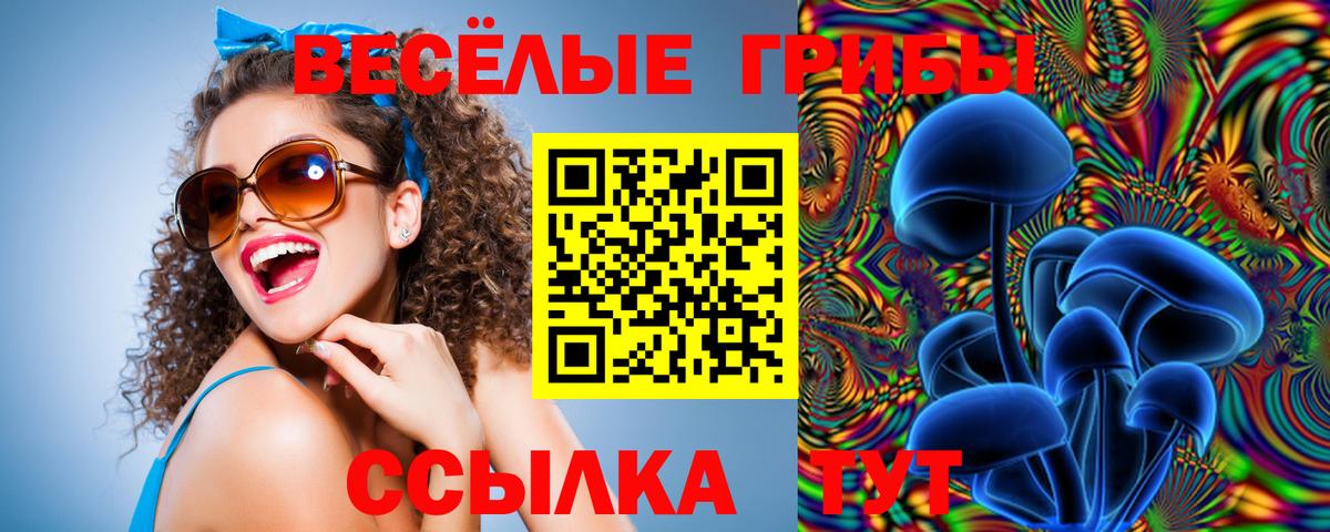 Киреевск  Галлюциногенные грибы Magic Shrooms  Вход с VPN  Псилоцибиновые грибы Magic Shrooms 